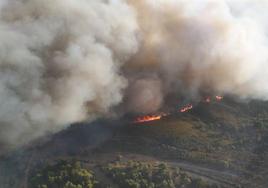 Vistá área del incendio forestal.