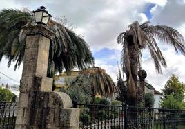 Las palmeras dañadas situadas a la entrada del santuario de la Virgen del Salobrar.