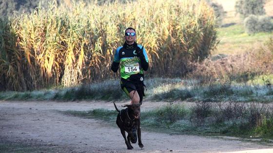 Rubén Mateos logra un buen resultado en el canicross de Navalcarnero