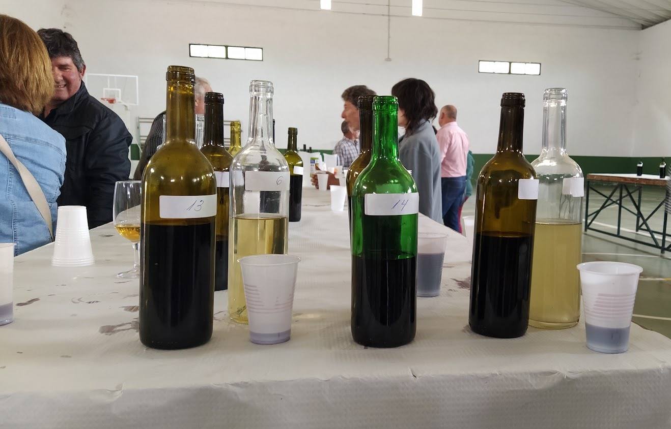 El 27 de enero se celebrará el Concurso de Vinos de Pitarra