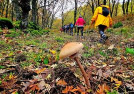Ruta senderista circular 'Arroyo Platero', Jaraíz 2023.