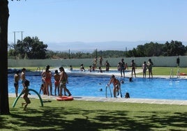 Impartición de los cursos de natación en las piscinas municipales.