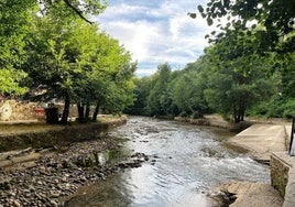 Limpieza de la piscina natural del charco Las Tablas, aguas abajo.