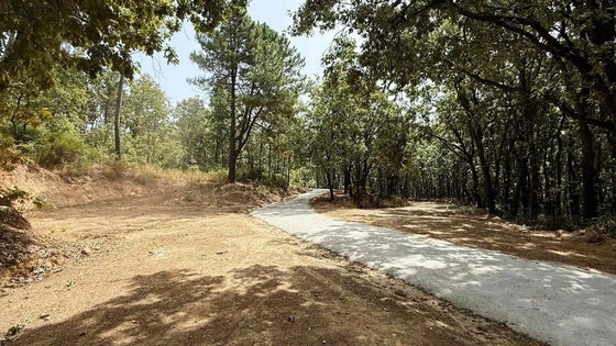 Gestión Forestal realiza mejoras en el Cerro de las Cabezas