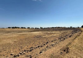 La charca vaciada para su limpieza y acondicionamiento del entorno.