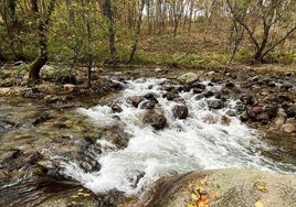 La Mesa Social del Agua Norte de Extremadura se reúne este miércoles en Jaraíz