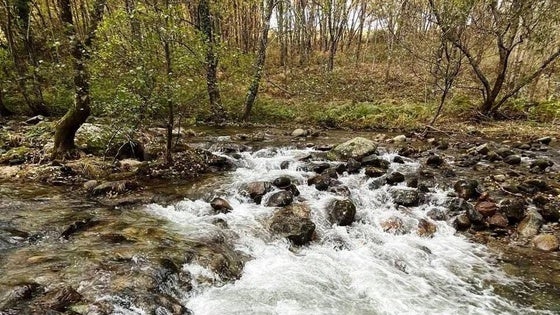 La Mesa Social del Agua Norte de Extremadura se reúne este miércoles en Jaraíz