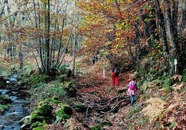 Ruta senderista por el jaraiceño Cerro de las Cabezas y alrededores.