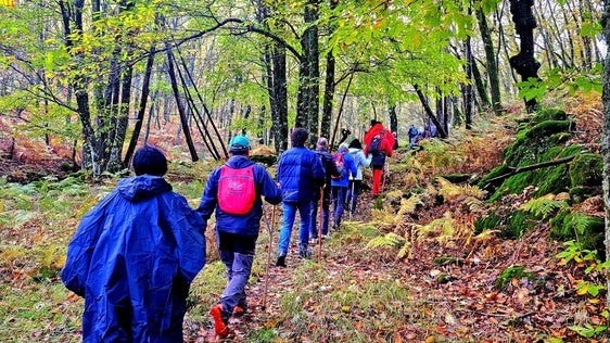 Participantes en otra edición anterior por el monte jaraiceño