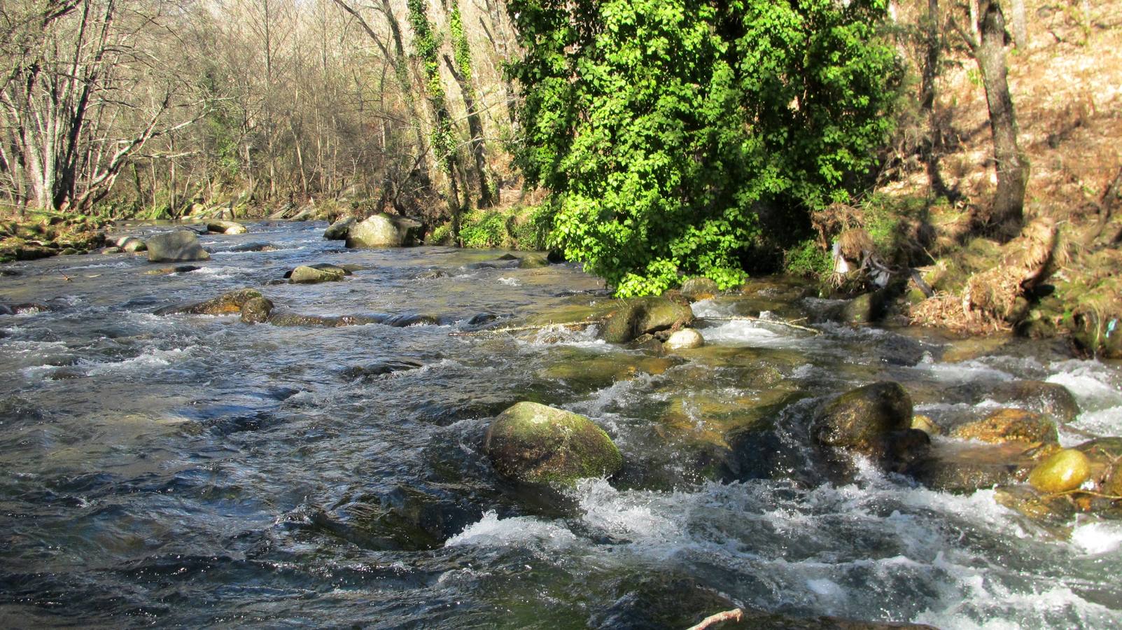 Garganta de Pedro Chate, en Jaraíz.