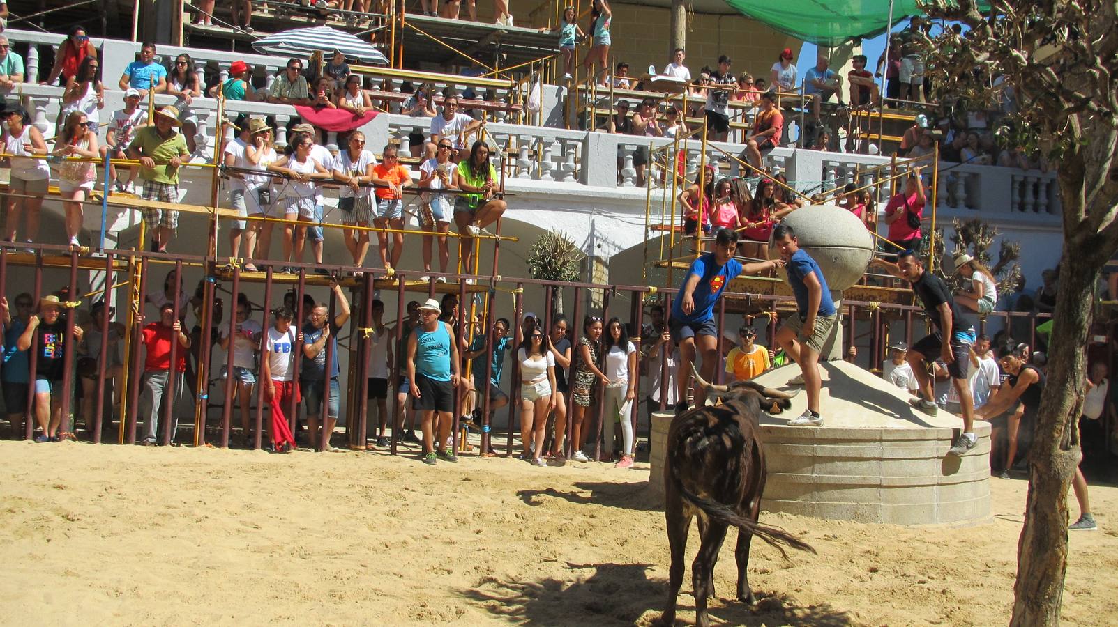Capea de las ferias y fiestas de 2016.