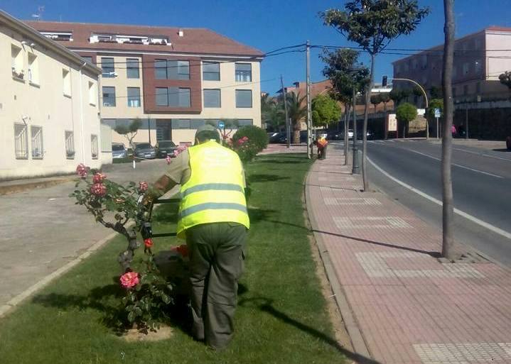 Operario plantando flores en la avenida del Salobrar