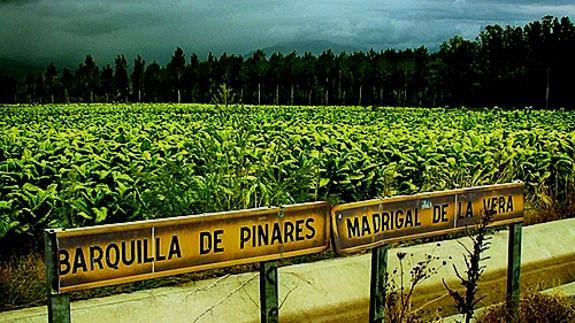 Carretera del canal, cerca de Pueblonuevo de Miramontes
