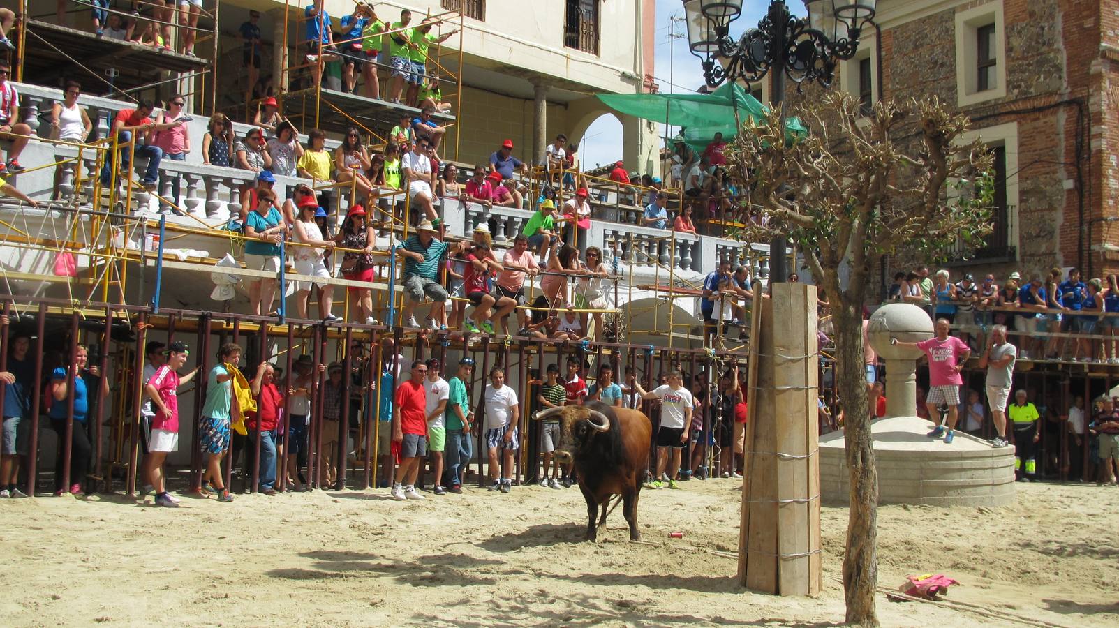 Los toros, plato fuerte de las fiestas. 