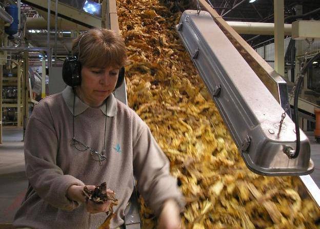 Los tabaqueros mantienen la producción pese a la crisis