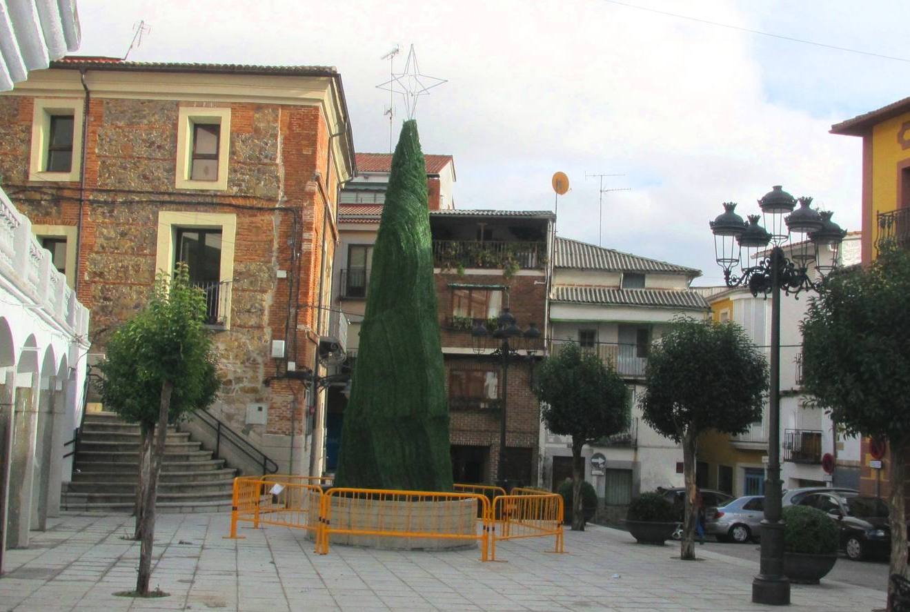 Árbol instalado en la plaza Mayor.P.D.CRUZ