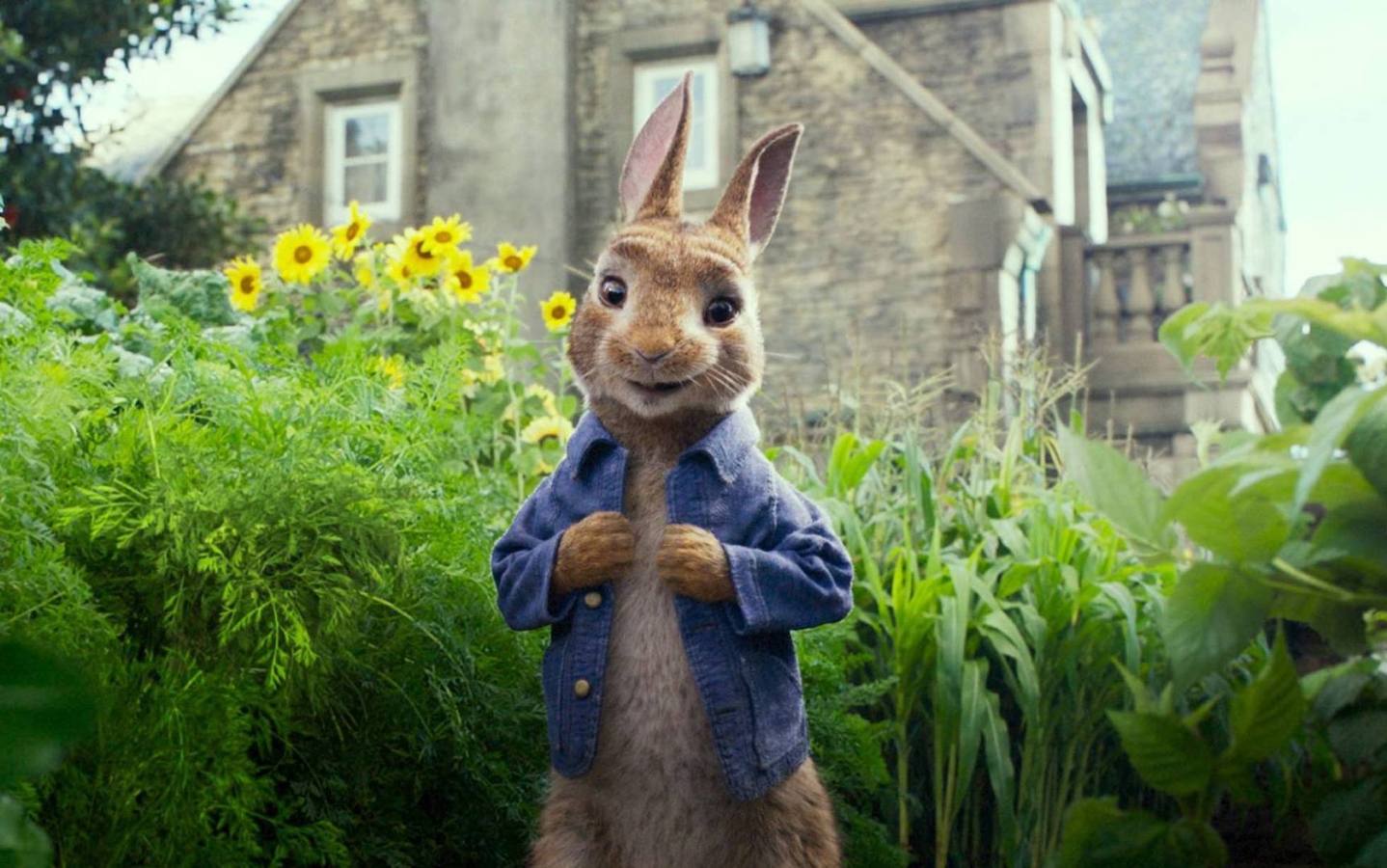 Doble estreno en el teatro-cine Avenida, ‘Tres anuncios en las afueras’ y ‘Peter Rabbit’