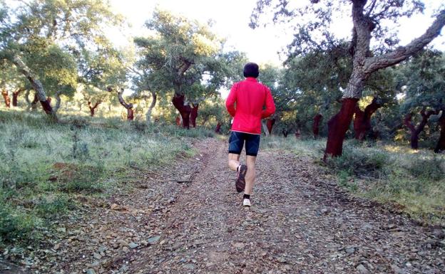 Recorrido del Trail. 