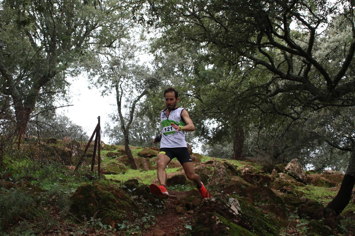 Daniel Remón Señorán, en masculino, y Beatriz González Suárez, en femenino, han sido los vencedores absolutos del I Trail Jerez de los Caballeros-Sierra San José que se ha celebrado, esta mañana, en el municipio. La prueba, de 27 kilómetros, ha contado con un circuito alternativo, de 11 kilómetros, donde el jerezano Fernando Méndez García y María Isabel González Méndez se han alzado con la victoria. Más de 200 corredores han disfrutado de esta prueba que ha conjugado deporte y naturaleza.