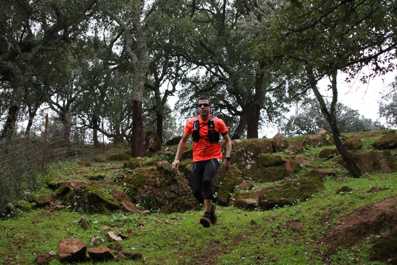 Daniel Remón Señorán, en masculino, y Beatriz González Suárez, en femenino, han sido los vencedores absolutos del I Trail Jerez de los Caballeros-Sierra San José que se ha celebrado, esta mañana, en el municipio. La prueba, de 27 kilómetros, ha contado con un circuito alternativo, de 11 kilómetros, donde el jerezano Fernando Méndez García y María Isabel González Méndez se han alzado con la victoria. Más de 200 corredores han disfrutado de esta prueba que ha conjugado deporte y naturaleza.