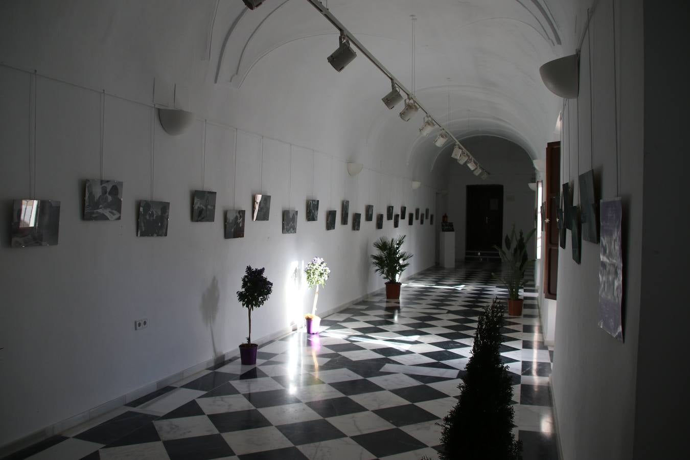La Asociación de Mujeres Progresistas 'Felisa Tanco' inauguró, ayer, la exposición fotográfica 'Abuelas en movimiento. Instinto vital', enmarcada en los actos conmemorativos del Día Internacional de la Mujer, que se celebra hoy. Una exposición que tiene como objetivo poner en valor el papel que las abuelas juegan en la actualidad y la aportación que está teniendo en la sociedad y en la familia.