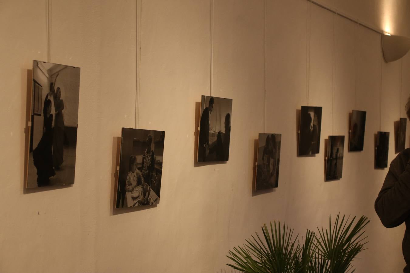 La Asociación de Mujeres Progresistas 'Felisa Tanco' inauguró, ayer, la exposición fotográfica 'Abuelas en movimiento. Instinto vital', enmarcada en los actos conmemorativos del Día Internacional de la Mujer, que se celebra hoy. Una exposición que tiene como objetivo poner en valor el papel que las abuelas juegan en la actualidad y la aportación que está teniendo en la sociedad y en la familia.