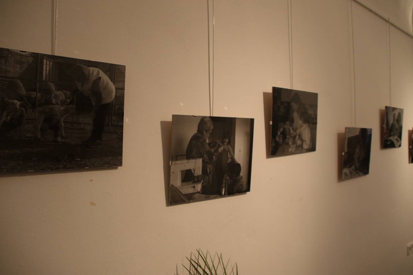 La Asociación de Mujeres Progresistas 'Felisa Tanco' inauguró, ayer, la exposición fotográfica 'Abuelas en movimiento. Instinto vital', enmarcada en los actos conmemorativos del Día Internacional de la Mujer, que se celebra hoy. Una exposición que tiene como objetivo poner en valor el papel que las abuelas juegan en la actualidad y la aportación que está teniendo en la sociedad y en la familia.