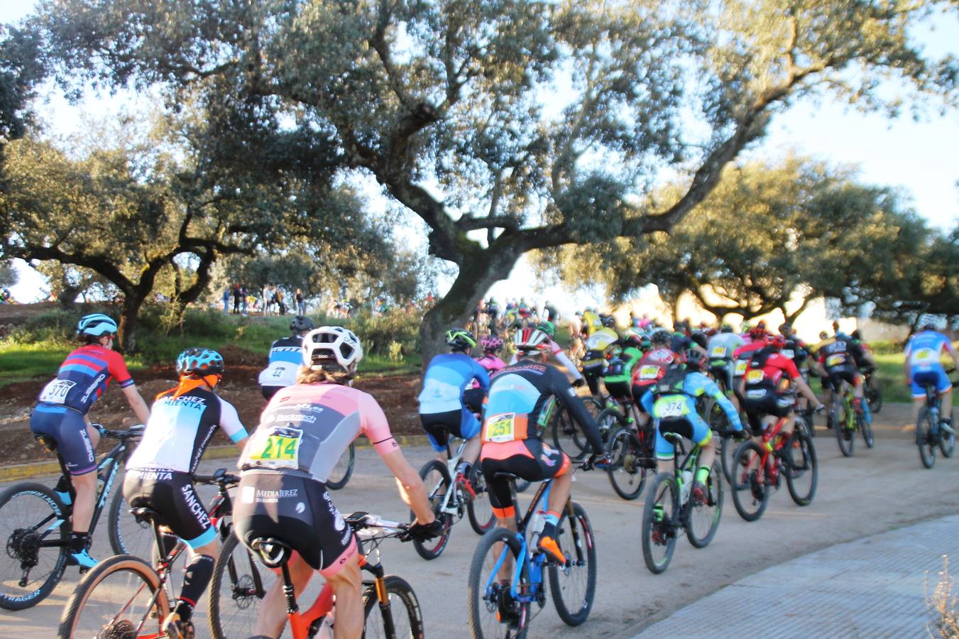 Sensacional jornada en torno al deporte del ciclismo la vivida este domingo, 10 de marzo, en Jerez de los Caballeros con la celebración del VII Maratón templario organizado por el Club ciclista de esta ciudad, con el que se ha dado continuidad a un Open de España de Maratón, que arrancó hace un mes con la VI Vuelta a Córdoba BTT.Miguel Muñoz y Lara Lois, acudían como líderes en la categoría élite tras ser los mejores en la primera cita y en esta prueba, han finalizado cuarto y primera de la general, respectivamente. José Márquez Granado (Quillo Márquez) ha sido el vencedor de la Maratón con un recorrido de 83 kilómetros por el bello entorno de dehesas de Jerez y la comarcar suroeste de Extremadura y con más de 2.000 metros de desnivel acumulado; seguido de Alejandro Díaz de la Peña y José Luis Carrasco Gámez. Agnieta Francke ha sido segunda de la general. En cuanto a los locales, Rafael García Barragán ha sido el primer jerezano de la Maratón en llegar a meta seguido de Ramón Pérez Guerrero y José Ángel González Pérez.El vencedor de la Ruta cicloturista, de 50 kilómetros, ha sido Alberto Cuevas Sánchez, seguido de Antonio Linares Paredes y Pablo Alpiste Quijada.