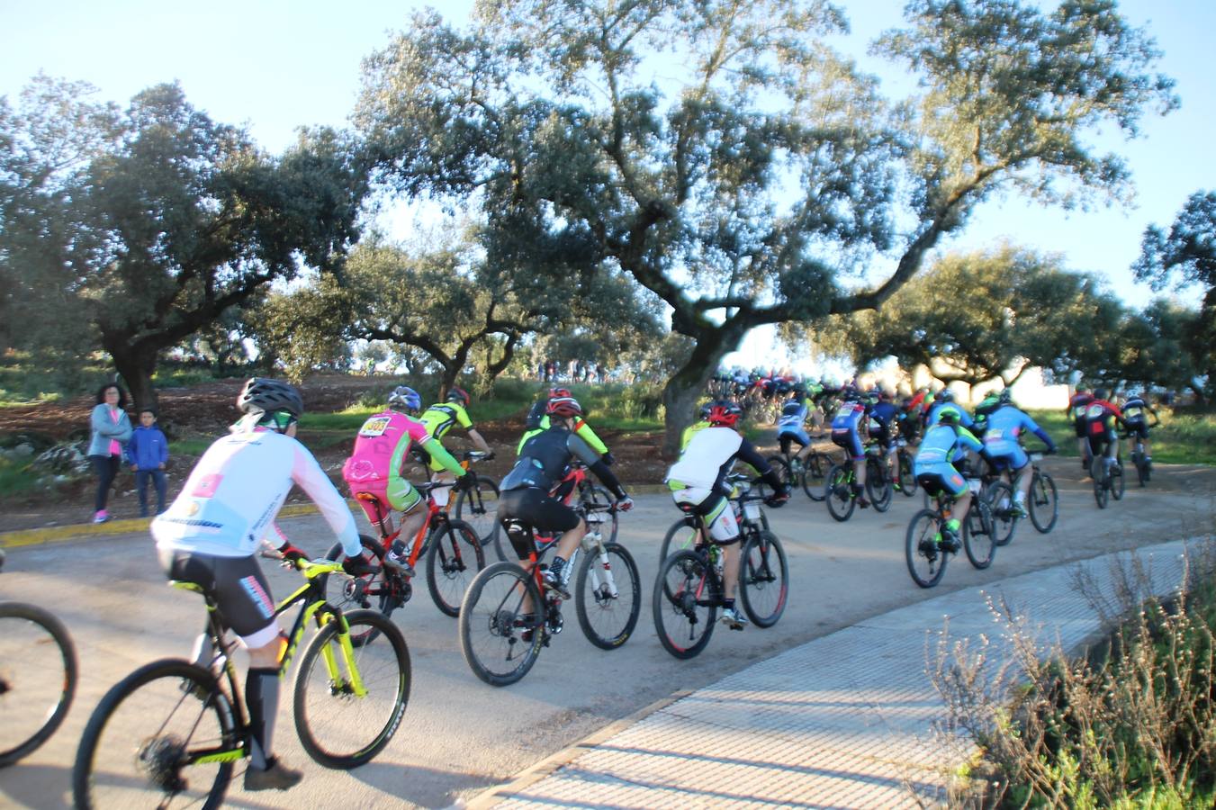 Sensacional jornada en torno al deporte del ciclismo la vivida este domingo, 10 de marzo, en Jerez de los Caballeros con la celebración del VII Maratón templario organizado por el Club ciclista de esta ciudad, con el que se ha dado continuidad a un Open de España de Maratón, que arrancó hace un mes con la VI Vuelta a Córdoba BTT.Miguel Muñoz y Lara Lois, acudían como líderes en la categoría élite tras ser los mejores en la primera cita y en esta prueba, han finalizado cuarto y primera de la general, respectivamente. José Márquez Granado (Quillo Márquez) ha sido el vencedor de la Maratón con un recorrido de 83 kilómetros por el bello entorno de dehesas de Jerez y la comarcar suroeste de Extremadura y con más de 2.000 metros de desnivel acumulado; seguido de Alejandro Díaz de la Peña y José Luis Carrasco Gámez. Agnieta Francke ha sido segunda de la general. En cuanto a los locales, Rafael García Barragán ha sido el primer jerezano de la Maratón en llegar a meta seguido de Ramón Pérez Guerrero y José Ángel González Pérez.El vencedor de la Ruta cicloturista, de 50 kilómetros, ha sido Alberto Cuevas Sánchez, seguido de Antonio Linares Paredes y Pablo Alpiste Quijada.