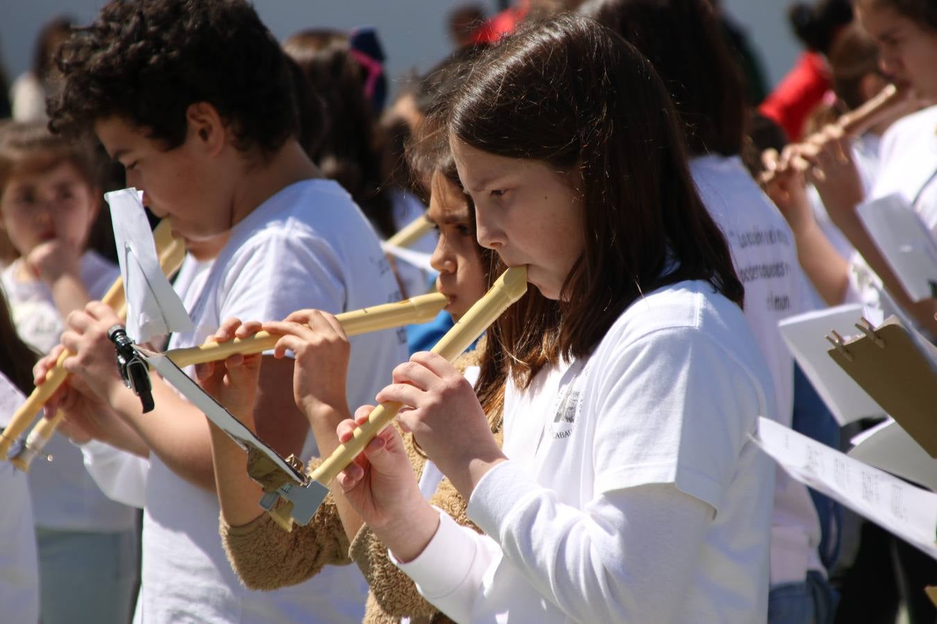 El Colegio 'Sotomayor y Terrazas' ha celebrado, esta mañana, su III Certamen escolar de bandas, organizado por el área de Música de este centro educativo, bajo la dirección de la maestra Loli Guzmán. A las puertas de la Semana Santa de Jerez, la actividad ha tenido como objetivo acercar la música a los niños y trabajar con ellos los sones que acompañan esta celebración. Esta edición ha contado, también, con la participación de alumnos del Colegio de Educación Especial 'Nuestra Señora de Aguasantas', la Agrupación Musical 'Nuestro Padre Jesús Nazareno', la Banda de CC. y TT. de 'Nuestra Señora del Rosario' y la Agrupación Musical 'Maestro Sousa'. Además, como novedad, se ha realizado un desfile previo por las calles del popular 'Barrio Alto'.