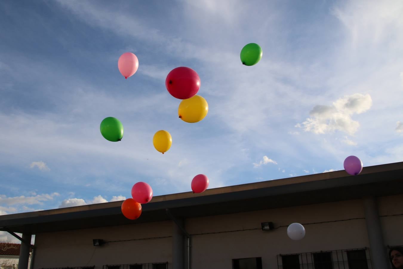El Colegio «El Rodeo» celebró, ayer, una nueva edición de su Semana Santa infantil que, año tras año, se consolida como una de las citas imprescindibles del calendario cofrade jerezano. La iniciativa cuenta con la implicación de alumnos, padres y profesores, y muestra cómo los más pequeños comienzan a interiorizar los roles propios de quienes participan y hacen posible la Semana Santa del municipio: costaleros, capataces, nazarenos, agrupaciones musicales, mujeres ataviadas con mantilla negra, escoltas romanas, etc. La Agrupación Musical «Nuestro Padre Jesús Nazareno» y la Agrupación Musical «Maestro Sousa» de la OJE acompañaron con sus sones esta entrañable recreación.