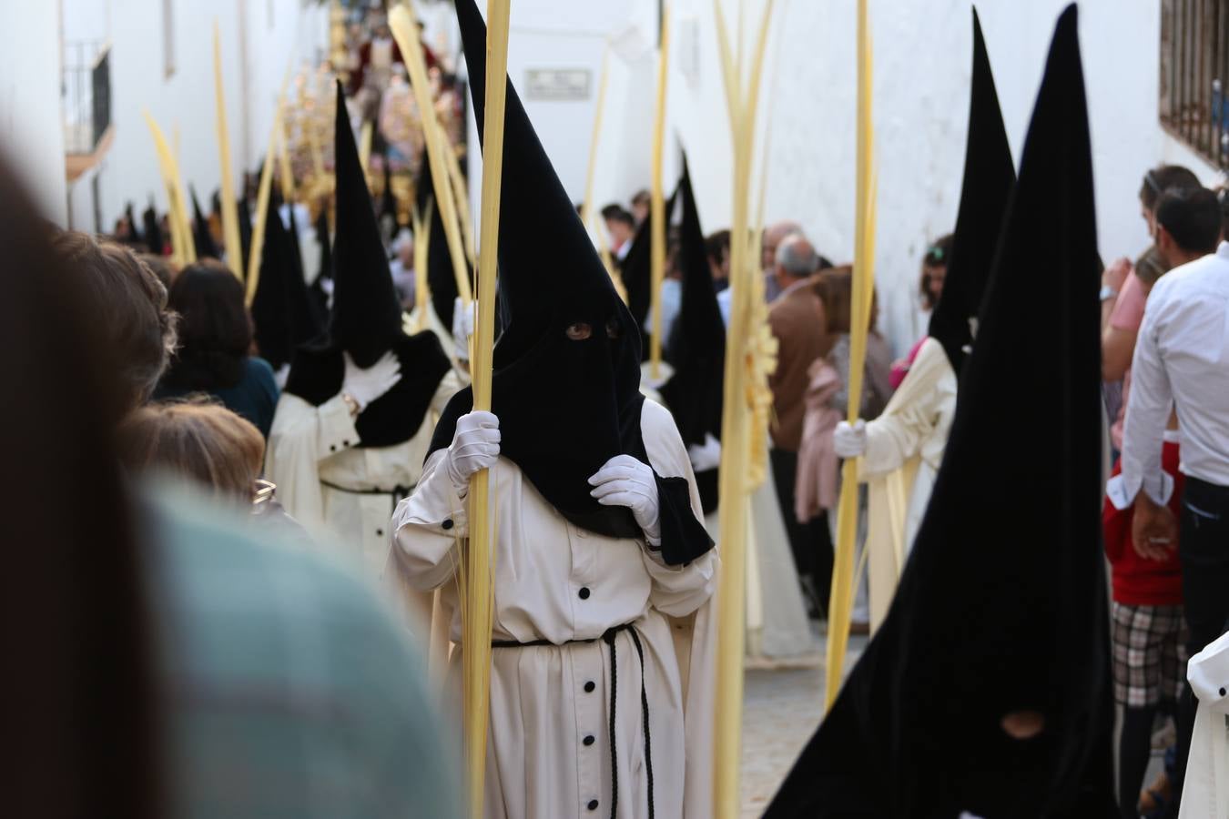 Jerez de los Caballeros vivió, ayer, sus primeros pálpitos de alegría y emoción al paso de 'La Borriquita' y 'Nuestra Señora del Rosario'. La Cofradía de 'Santo Domingo de Guzmán y Nuestra Señora del Rosario' fue la encargada de abrir los desfiles procesionales de la Semana de Pasión jerezana, convirtiéndose, así, en la primera cofradía en aunar fervor y devoción por las calles del municipio.