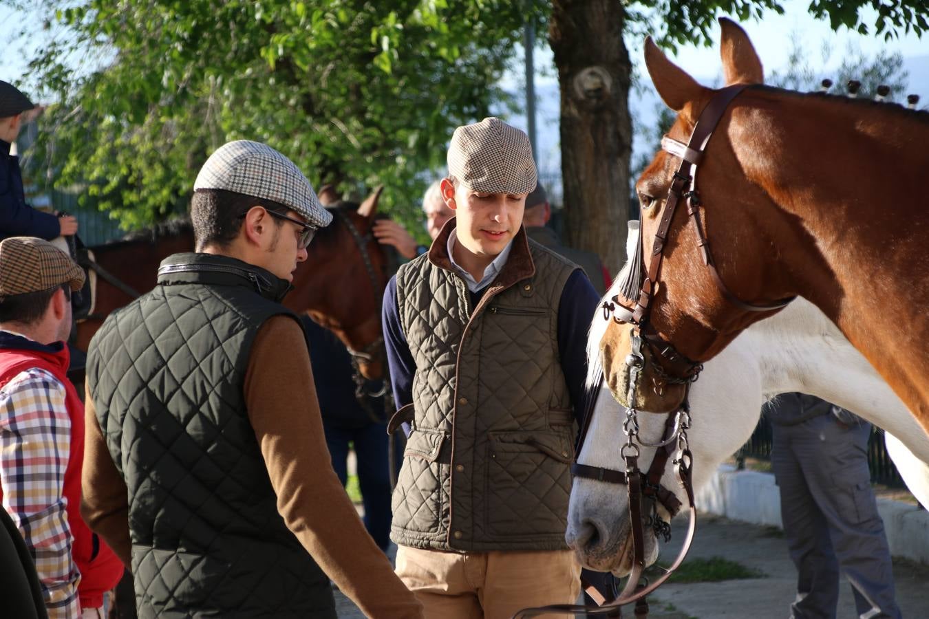 Romeros, carrozas y caballistas han acompañado, esta mañana, en procesión, al Simpecado de Nuestra Señora de Aguasantas, Patrona de Jerez de los Caballeros, hasta la ermita consagrada a su nombre. Durante el camino, no han faltado las perrunillas, la copa de anís, el acompañamiento musical del tamborilero de la Hermandad de La Algaba, Ramón Barragán, y los cánticos y bailes de algunos romeros. Un día de júbilo, convivencia y devoción a Nuestra Señora de Aguasantas que culminará, esta tarde, a las 20 horas, con el rezo del Santo Rosario en la citada ermita y el canto de la Salve a la Virgen.