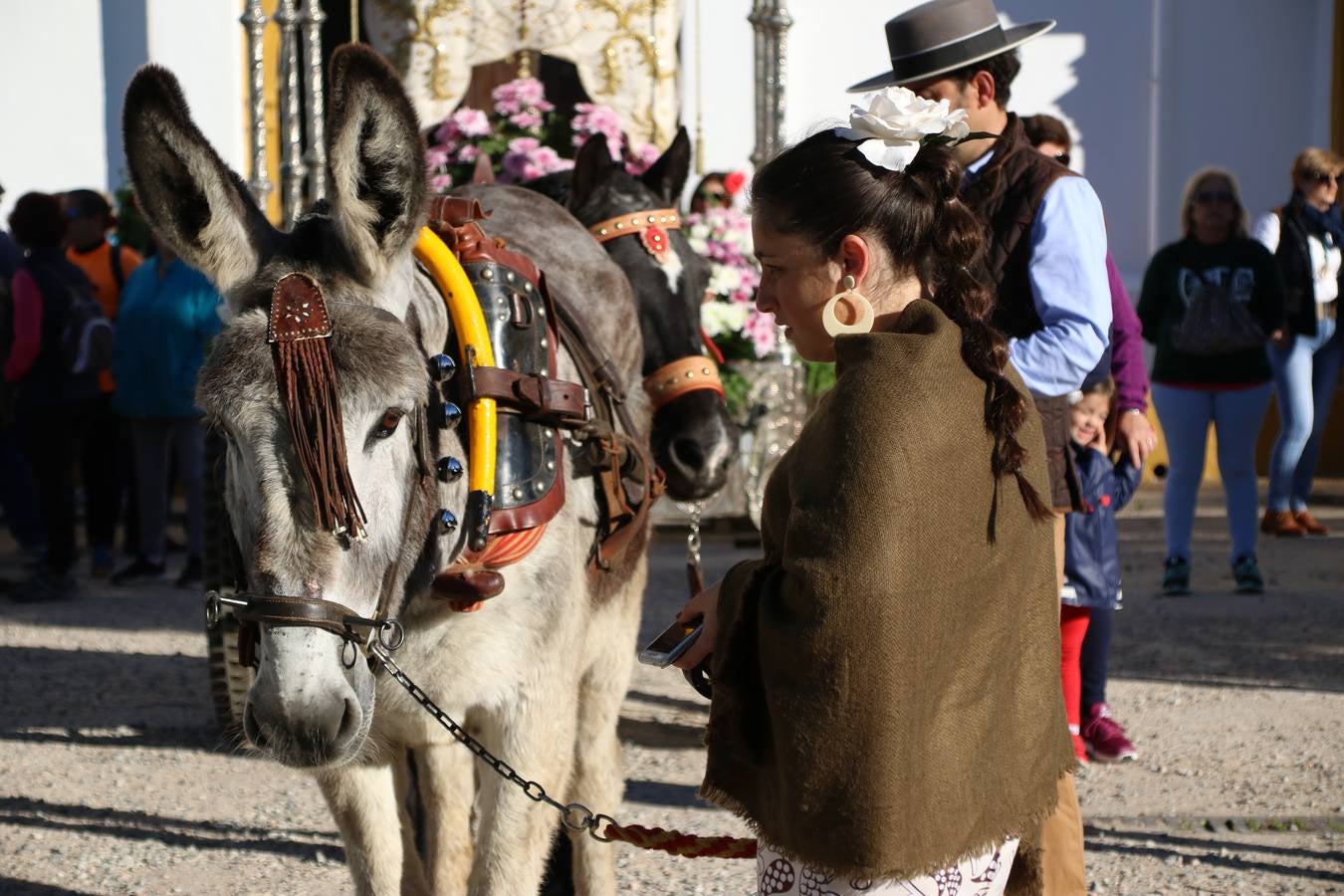 Romeros, carrozas y caballistas han acompañado, esta mañana, en procesión, al Simpecado de Nuestra Señora de Aguasantas, Patrona de Jerez de los Caballeros, hasta la ermita consagrada a su nombre. Durante el camino, no han faltado las perrunillas, la copa de anís, el acompañamiento musical del tamborilero de la Hermandad de La Algaba, Ramón Barragán, y los cánticos y bailes de algunos romeros. Un día de júbilo, convivencia y devoción a Nuestra Señora de Aguasantas que culminará, esta tarde, a las 20 horas, con el rezo del Santo Rosario en la citada ermita y el canto de la Salve a la Virgen.