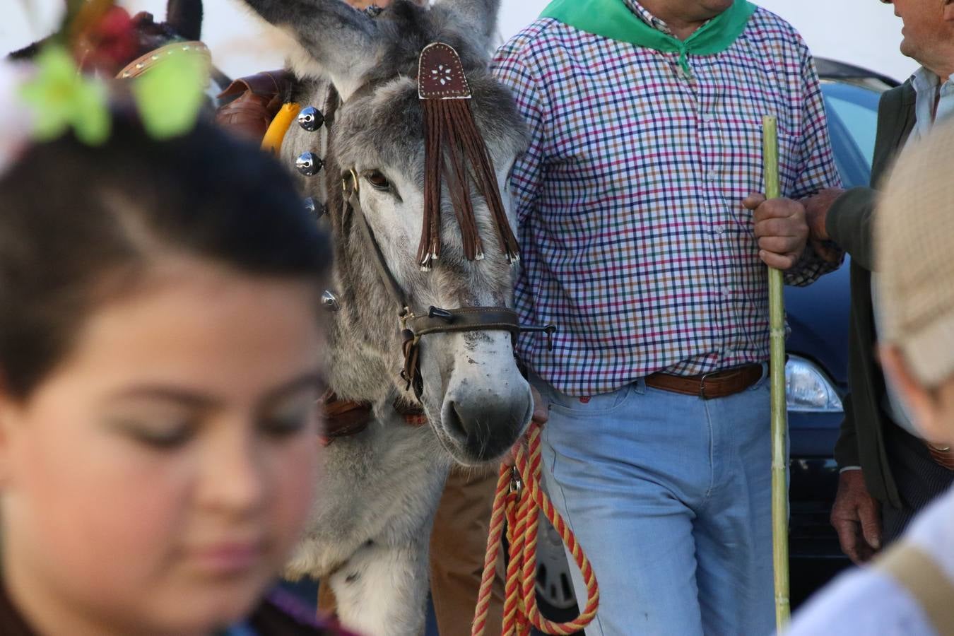 Romeros, carrozas y caballistas han acompañado, esta mañana, en procesión, al Simpecado de Nuestra Señora de Aguasantas, Patrona de Jerez de los Caballeros, hasta la ermita consagrada a su nombre. Durante el camino, no han faltado las perrunillas, la copa de anís, el acompañamiento musical del tamborilero de la Hermandad de La Algaba, Ramón Barragán, y los cánticos y bailes de algunos romeros. Un día de júbilo, convivencia y devoción a Nuestra Señora de Aguasantas que culminará, esta tarde, a las 20 horas, con el rezo del Santo Rosario en la citada ermita y el canto de la Salve a la Virgen.