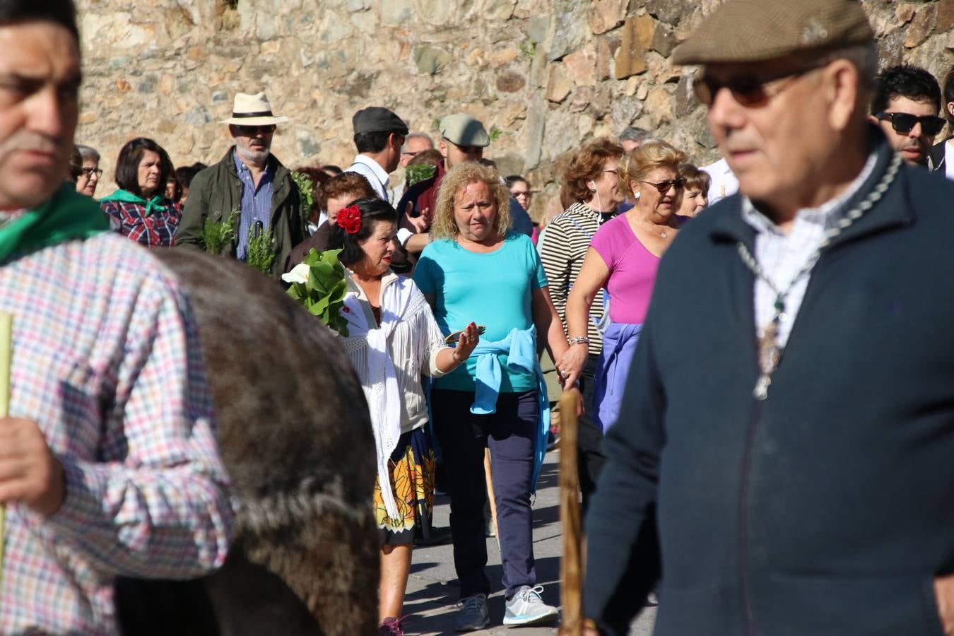 Romeros, carrozas y caballistas han acompañado, esta mañana, en procesión, al Simpecado de Nuestra Señora de Aguasantas, Patrona de Jerez de los Caballeros, hasta la ermita consagrada a su nombre. Durante el camino, no han faltado las perrunillas, la copa de anís, el acompañamiento musical del tamborilero de la Hermandad de La Algaba, Ramón Barragán, y los cánticos y bailes de algunos romeros. Un día de júbilo, convivencia y devoción a Nuestra Señora de Aguasantas que culminará, esta tarde, a las 20 horas, con el rezo del Santo Rosario en la citada ermita y el canto de la Salve a la Virgen.