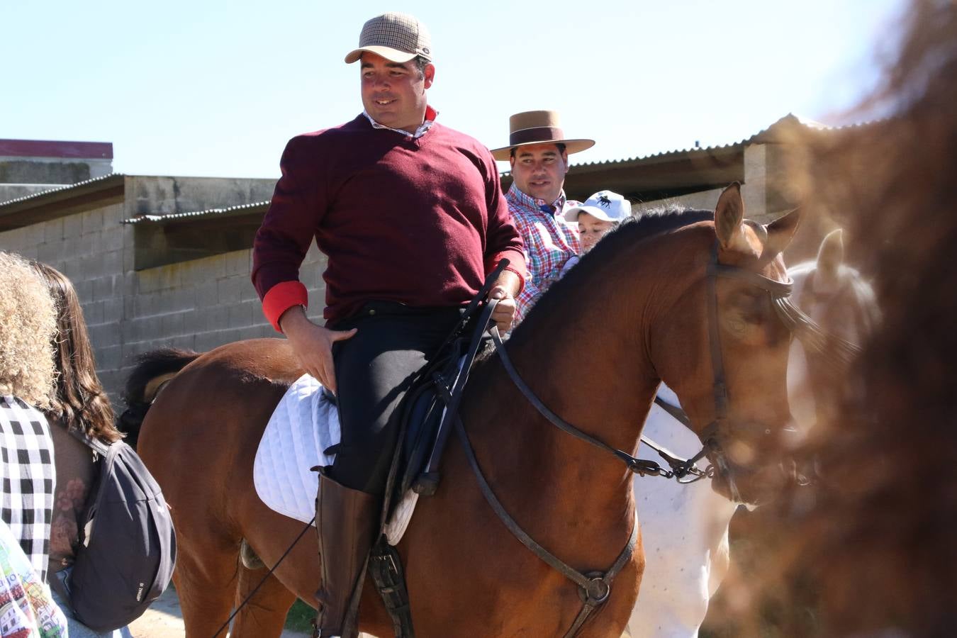 Romeros, carrozas y caballistas han acompañado, esta mañana, en procesión, al Simpecado de Nuestra Señora de Aguasantas, Patrona de Jerez de los Caballeros, hasta la ermita consagrada a su nombre. Durante el camino, no han faltado las perrunillas, la copa de anís, el acompañamiento musical del tamborilero de la Hermandad de La Algaba, Ramón Barragán, y los cánticos y bailes de algunos romeros. Un día de júbilo, convivencia y devoción a Nuestra Señora de Aguasantas que culminará, esta tarde, a las 20 horas, con el rezo del Santo Rosario en la citada ermita y el canto de la Salve a la Virgen.