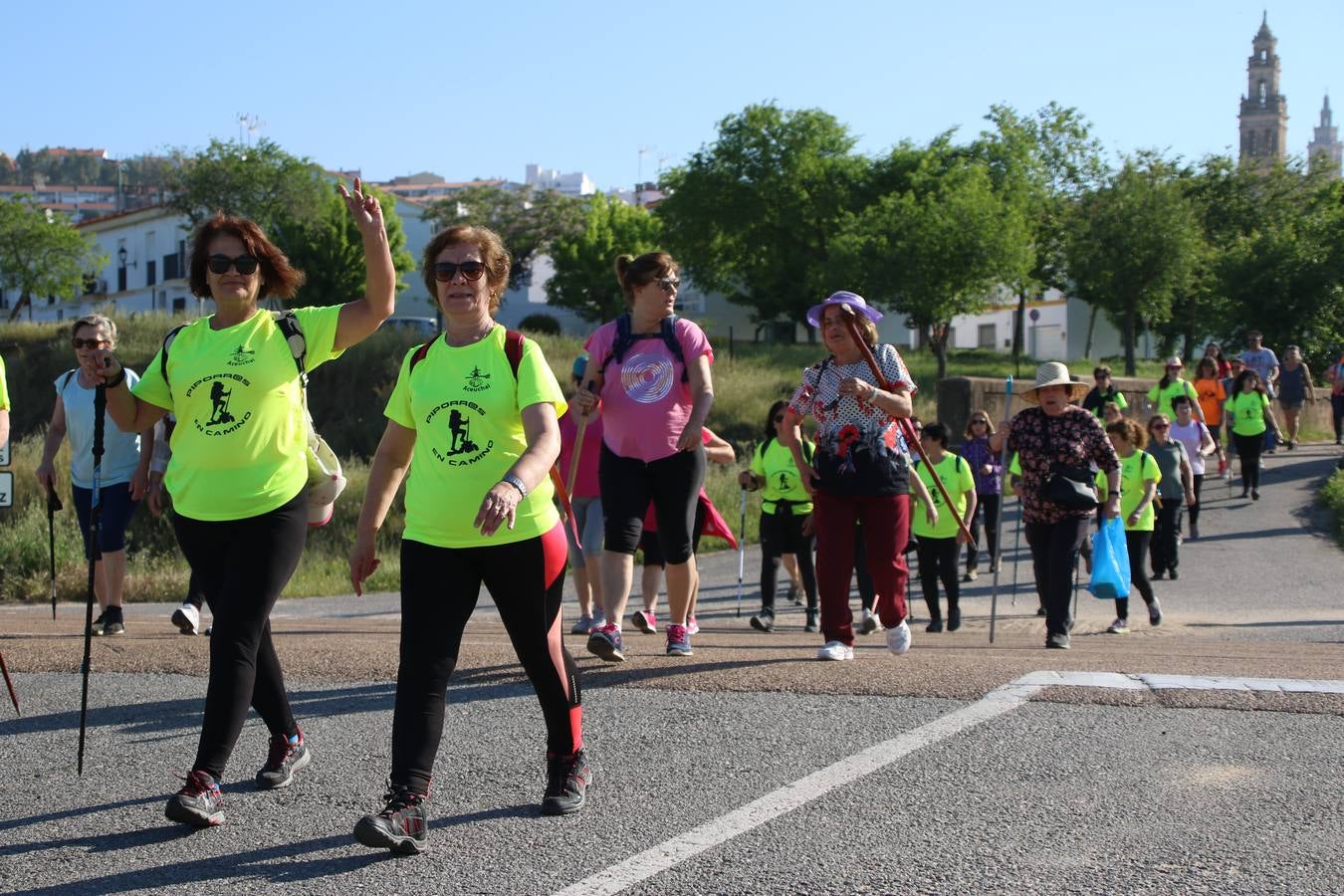 Más de 480 personas han disfrutado, esta mañana, de una nueva edición de la 'Ruta Templaria', organizada por la Asociación Grupo Senderista Jerezano 'Las Chorreras' con el apoyo del Ayuntamiento de Jerez, el Programa de Dinamización Deportiva de la Mancomunidad Sierra Suroeste, 'Euexia Rural' y el patrocinio de diferentes casas comerciales de la localidad. Jerez de los Caballeros y su entorno han vuelto a ser protagonistas de una ruta que, este año, ha contado con un nuevo recorrido entre las cuencas de los arroyos Benferre y Casabayas. La jornada ha comenzado en el Parque de Santa Lucía y ha finalizado en la Plaza de la Alcazaba con una paella y la actuación musical de 'Dale al Play'.