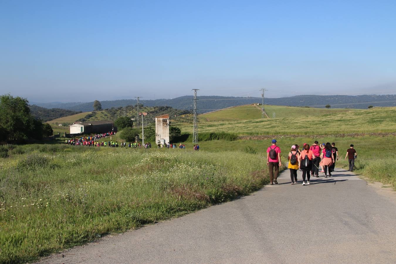 Más de 480 personas han disfrutado, esta mañana, de una nueva edición de la 'Ruta Templaria', organizada por la Asociación Grupo Senderista Jerezano 'Las Chorreras' con el apoyo del Ayuntamiento de Jerez, el Programa de Dinamización Deportiva de la Mancomunidad Sierra Suroeste, 'Euexia Rural' y el patrocinio de diferentes casas comerciales de la localidad. Jerez de los Caballeros y su entorno han vuelto a ser protagonistas de una ruta que, este año, ha contado con un nuevo recorrido entre las cuencas de los arroyos Benferre y Casabayas. La jornada ha comenzado en el Parque de Santa Lucía y ha finalizado en la Plaza de la Alcazaba con una paella y la actuación musical de 'Dale al Play'.