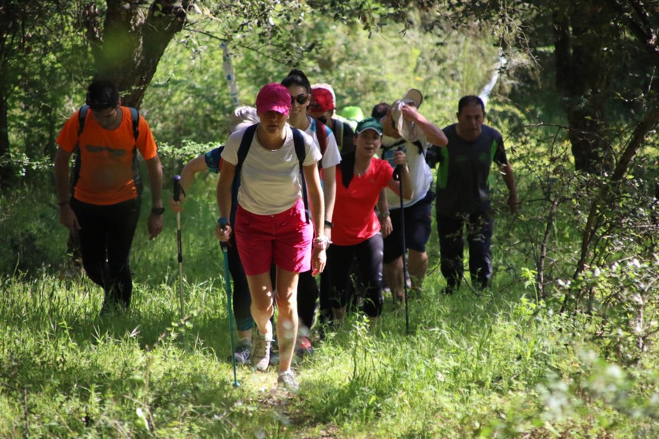 Más de 480 personas han disfrutado, esta mañana, de una nueva edición de la 'Ruta Templaria', organizada por la Asociación Grupo Senderista Jerezano 'Las Chorreras' con el apoyo del Ayuntamiento de Jerez, el Programa de Dinamización Deportiva de la Mancomunidad Sierra Suroeste, 'Euexia Rural' y el patrocinio de diferentes casas comerciales de la localidad. Jerez de los Caballeros y su entorno han vuelto a ser protagonistas de una ruta que, este año, ha contado con un nuevo recorrido entre las cuencas de los arroyos Benferre y Casabayas. La jornada ha comenzado en el Parque de Santa Lucía y ha finalizado en la Plaza de la Alcazaba con una paella y la actuación musical de 'Dale al Play'.