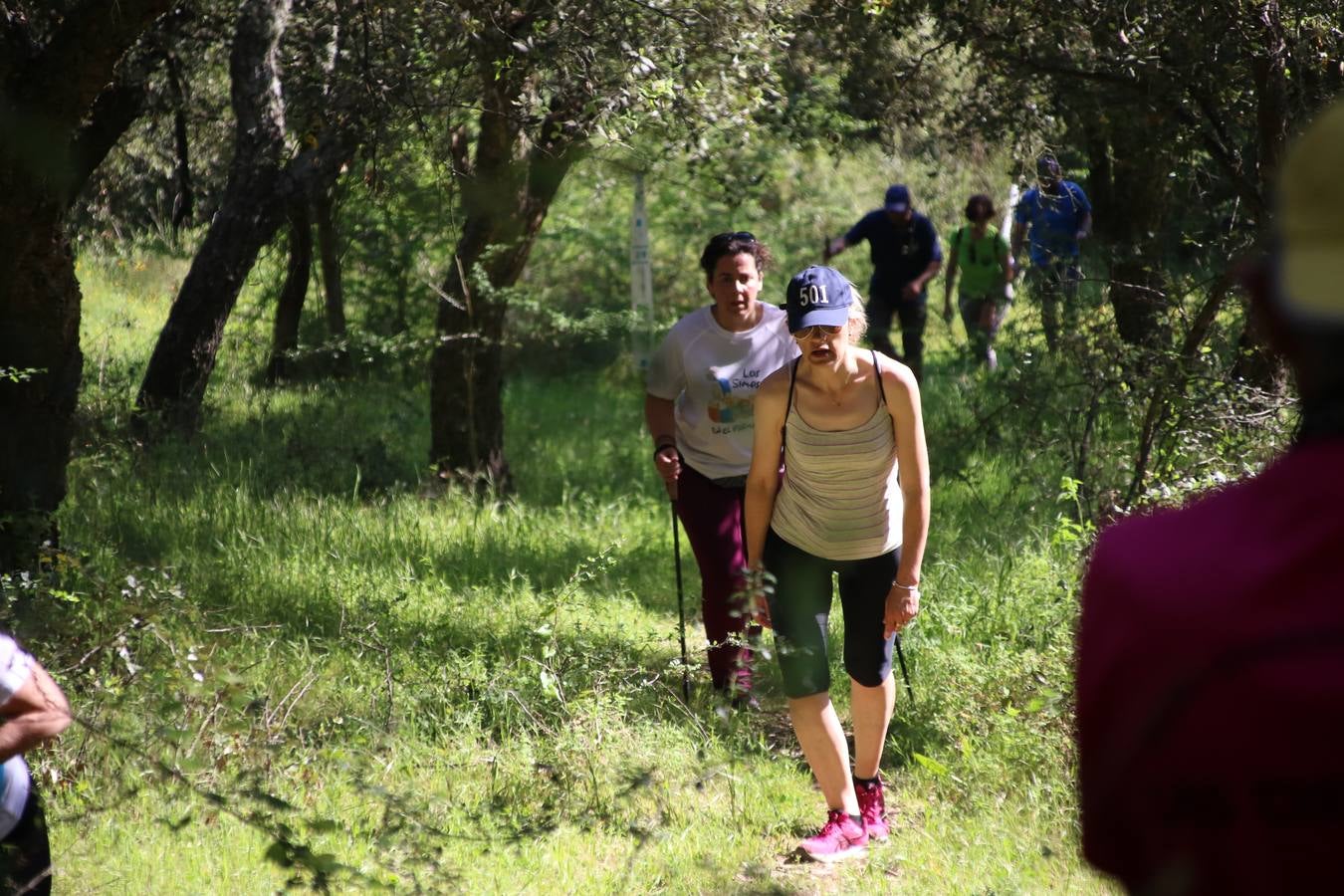 Más de 480 personas han disfrutado, esta mañana, de una nueva edición de la 'Ruta Templaria', organizada por la Asociación Grupo Senderista Jerezano 'Las Chorreras' con el apoyo del Ayuntamiento de Jerez, el Programa de Dinamización Deportiva de la Mancomunidad Sierra Suroeste, 'Euexia Rural' y el patrocinio de diferentes casas comerciales de la localidad. Jerez de los Caballeros y su entorno han vuelto a ser protagonistas de una ruta que, este año, ha contado con un nuevo recorrido entre las cuencas de los arroyos Benferre y Casabayas. La jornada ha comenzado en el Parque de Santa Lucía y ha finalizado en la Plaza de la Alcazaba con una paella y la actuación musical de 'Dale al Play'.