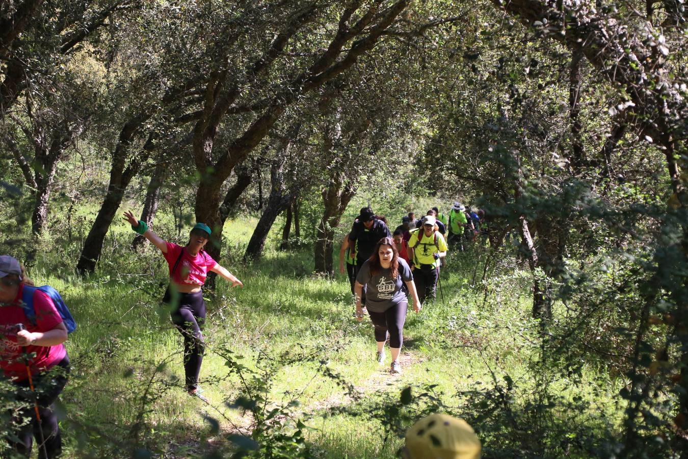 Más de 480 personas han disfrutado, esta mañana, de una nueva edición de la 'Ruta Templaria', organizada por la Asociación Grupo Senderista Jerezano 'Las Chorreras' con el apoyo del Ayuntamiento de Jerez, el Programa de Dinamización Deportiva de la Mancomunidad Sierra Suroeste, 'Euexia Rural' y el patrocinio de diferentes casas comerciales de la localidad. Jerez de los Caballeros y su entorno han vuelto a ser protagonistas de una ruta que, este año, ha contado con un nuevo recorrido entre las cuencas de los arroyos Benferre y Casabayas. La jornada ha comenzado en el Parque de Santa Lucía y ha finalizado en la Plaza de la Alcazaba con una paella y la actuación musical de 'Dale al Play'.