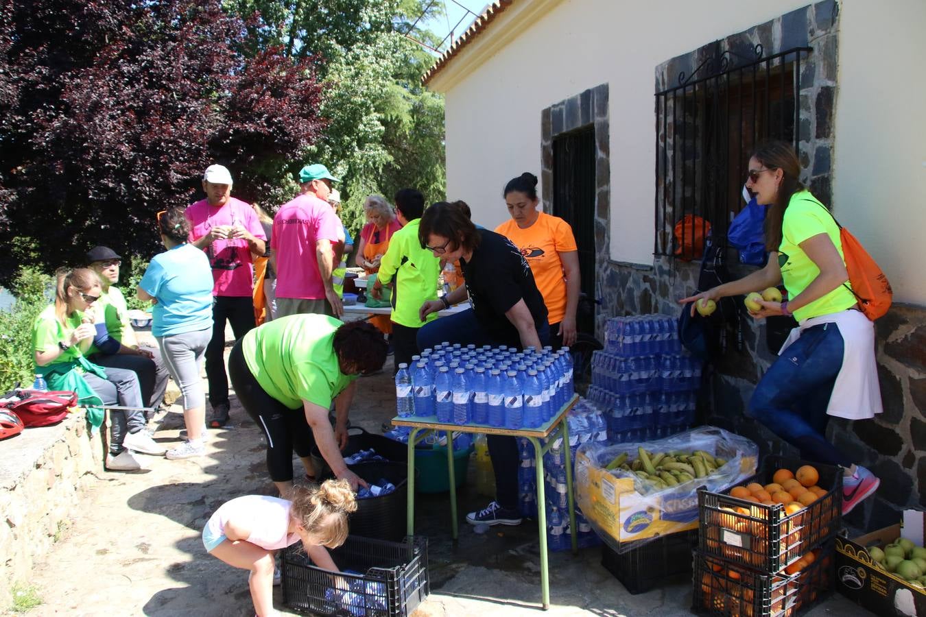 Más de 480 personas han disfrutado, esta mañana, de una nueva edición de la 'Ruta Templaria', organizada por la Asociación Grupo Senderista Jerezano 'Las Chorreras' con el apoyo del Ayuntamiento de Jerez, el Programa de Dinamización Deportiva de la Mancomunidad Sierra Suroeste, 'Euexia Rural' y el patrocinio de diferentes casas comerciales de la localidad. Jerez de los Caballeros y su entorno han vuelto a ser protagonistas de una ruta que, este año, ha contado con un nuevo recorrido entre las cuencas de los arroyos Benferre y Casabayas. La jornada ha comenzado en el Parque de Santa Lucía y ha finalizado en la Plaza de la Alcazaba con una paella y la actuación musical de 'Dale al Play'.