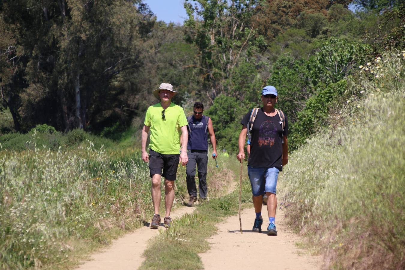 Más de 480 personas han disfrutado, esta mañana, de una nueva edición de la 'Ruta Templaria', organizada por la Asociación Grupo Senderista Jerezano 'Las Chorreras' con el apoyo del Ayuntamiento de Jerez, el Programa de Dinamización Deportiva de la Mancomunidad Sierra Suroeste, 'Euexia Rural' y el patrocinio de diferentes casas comerciales de la localidad. Jerez de los Caballeros y su entorno han vuelto a ser protagonistas de una ruta que, este año, ha contado con un nuevo recorrido entre las cuencas de los arroyos Benferre y Casabayas. La jornada ha comenzado en el Parque de Santa Lucía y ha finalizado en la Plaza de la Alcazaba con una paella y la actuación musical de 'Dale al Play'.