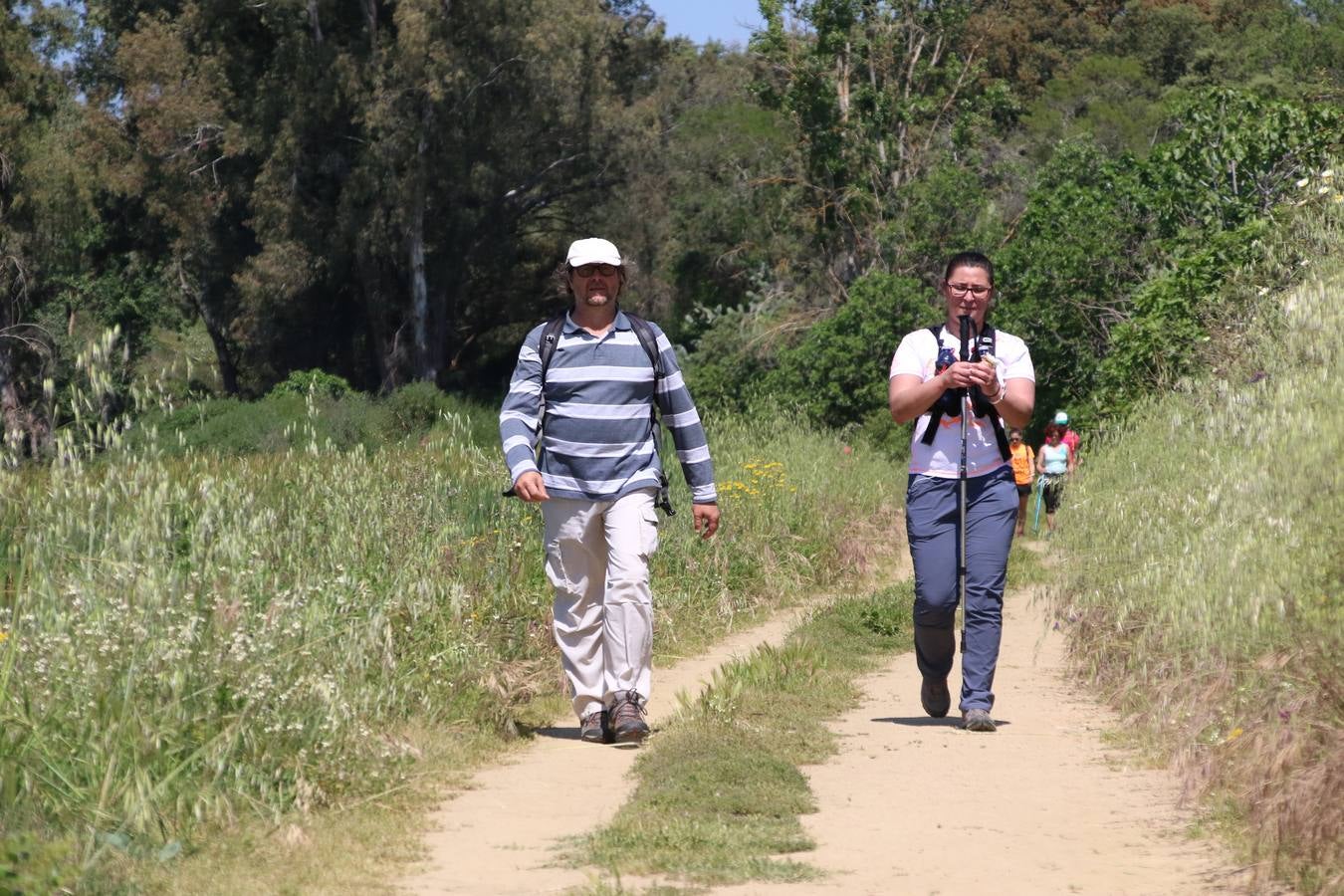 Más de 480 personas han disfrutado, esta mañana, de una nueva edición de la 'Ruta Templaria', organizada por la Asociación Grupo Senderista Jerezano 'Las Chorreras' con el apoyo del Ayuntamiento de Jerez, el Programa de Dinamización Deportiva de la Mancomunidad Sierra Suroeste, 'Euexia Rural' y el patrocinio de diferentes casas comerciales de la localidad. Jerez de los Caballeros y su entorno han vuelto a ser protagonistas de una ruta que, este año, ha contado con un nuevo recorrido entre las cuencas de los arroyos Benferre y Casabayas. La jornada ha comenzado en el Parque de Santa Lucía y ha finalizado en la Plaza de la Alcazaba con una paella y la actuación musical de 'Dale al Play'.