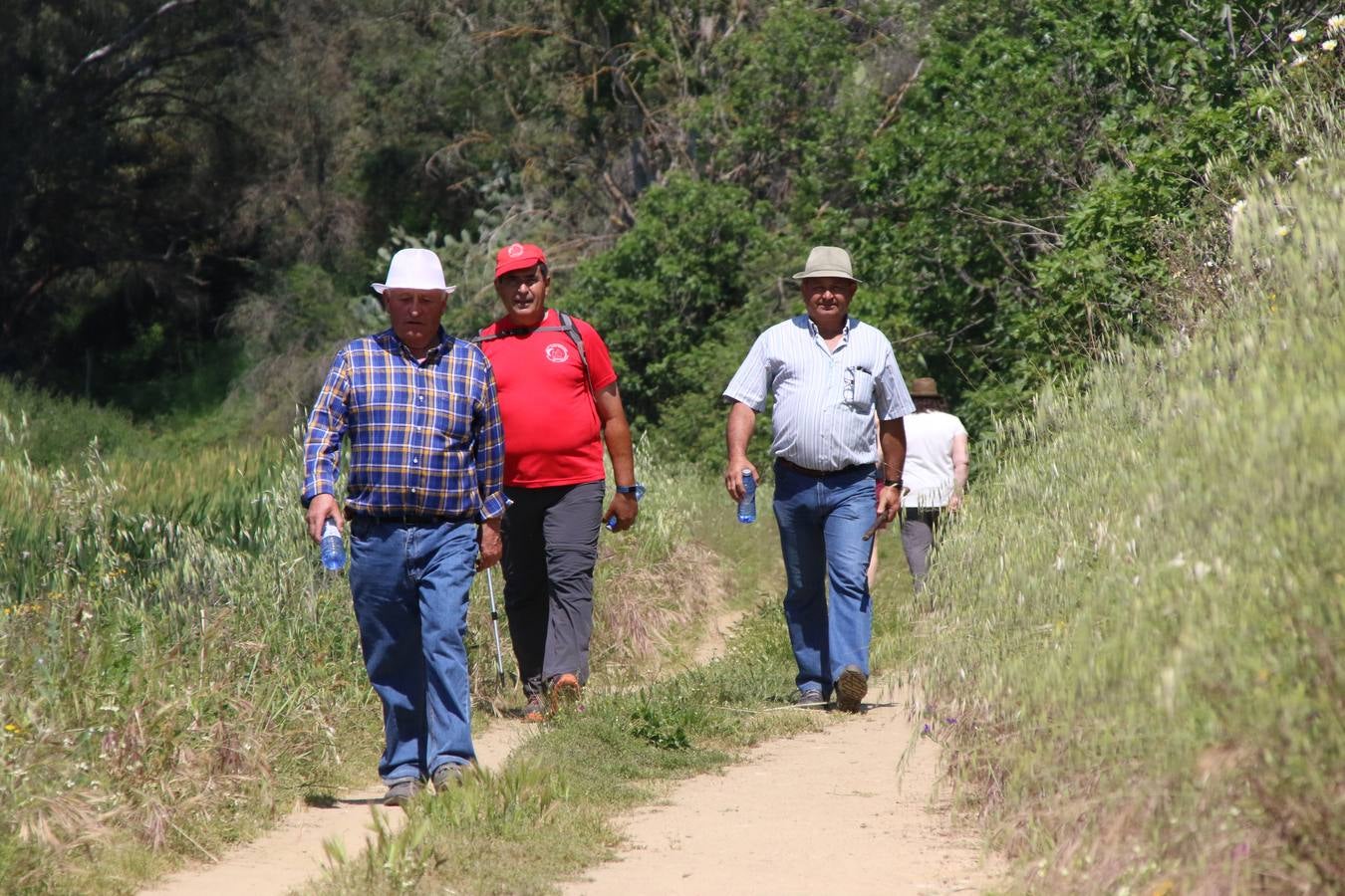 Más de 480 personas han disfrutado, esta mañana, de una nueva edición de la 'Ruta Templaria', organizada por la Asociación Grupo Senderista Jerezano 'Las Chorreras' con el apoyo del Ayuntamiento de Jerez, el Programa de Dinamización Deportiva de la Mancomunidad Sierra Suroeste, 'Euexia Rural' y el patrocinio de diferentes casas comerciales de la localidad. Jerez de los Caballeros y su entorno han vuelto a ser protagonistas de una ruta que, este año, ha contado con un nuevo recorrido entre las cuencas de los arroyos Benferre y Casabayas. La jornada ha comenzado en el Parque de Santa Lucía y ha finalizado en la Plaza de la Alcazaba con una paella y la actuación musical de 'Dale al Play'.