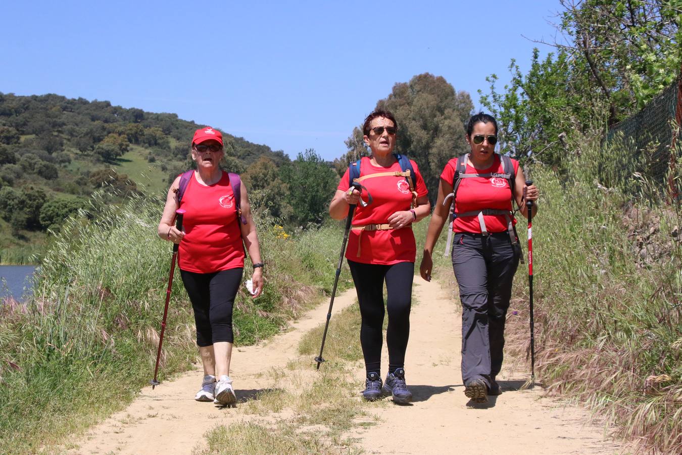 Más de 480 personas han disfrutado, esta mañana, de una nueva edición de la 'Ruta Templaria', organizada por la Asociación Grupo Senderista Jerezano 'Las Chorreras' con el apoyo del Ayuntamiento de Jerez, el Programa de Dinamización Deportiva de la Mancomunidad Sierra Suroeste, 'Euexia Rural' y el patrocinio de diferentes casas comerciales de la localidad. Jerez de los Caballeros y su entorno han vuelto a ser protagonistas de una ruta que, este año, ha contado con un nuevo recorrido entre las cuencas de los arroyos Benferre y Casabayas. La jornada ha comenzado en el Parque de Santa Lucía y ha finalizado en la Plaza de la Alcazaba con una paella y la actuación musical de 'Dale al Play'.