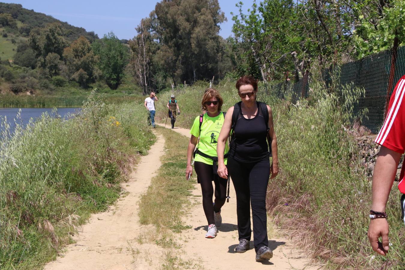 Más de 480 personas han disfrutado, esta mañana, de una nueva edición de la 'Ruta Templaria', organizada por la Asociación Grupo Senderista Jerezano 'Las Chorreras' con el apoyo del Ayuntamiento de Jerez, el Programa de Dinamización Deportiva de la Mancomunidad Sierra Suroeste, 'Euexia Rural' y el patrocinio de diferentes casas comerciales de la localidad. Jerez de los Caballeros y su entorno han vuelto a ser protagonistas de una ruta que, este año, ha contado con un nuevo recorrido entre las cuencas de los arroyos Benferre y Casabayas. La jornada ha comenzado en el Parque de Santa Lucía y ha finalizado en la Plaza de la Alcazaba con una paella y la actuación musical de 'Dale al Play'.