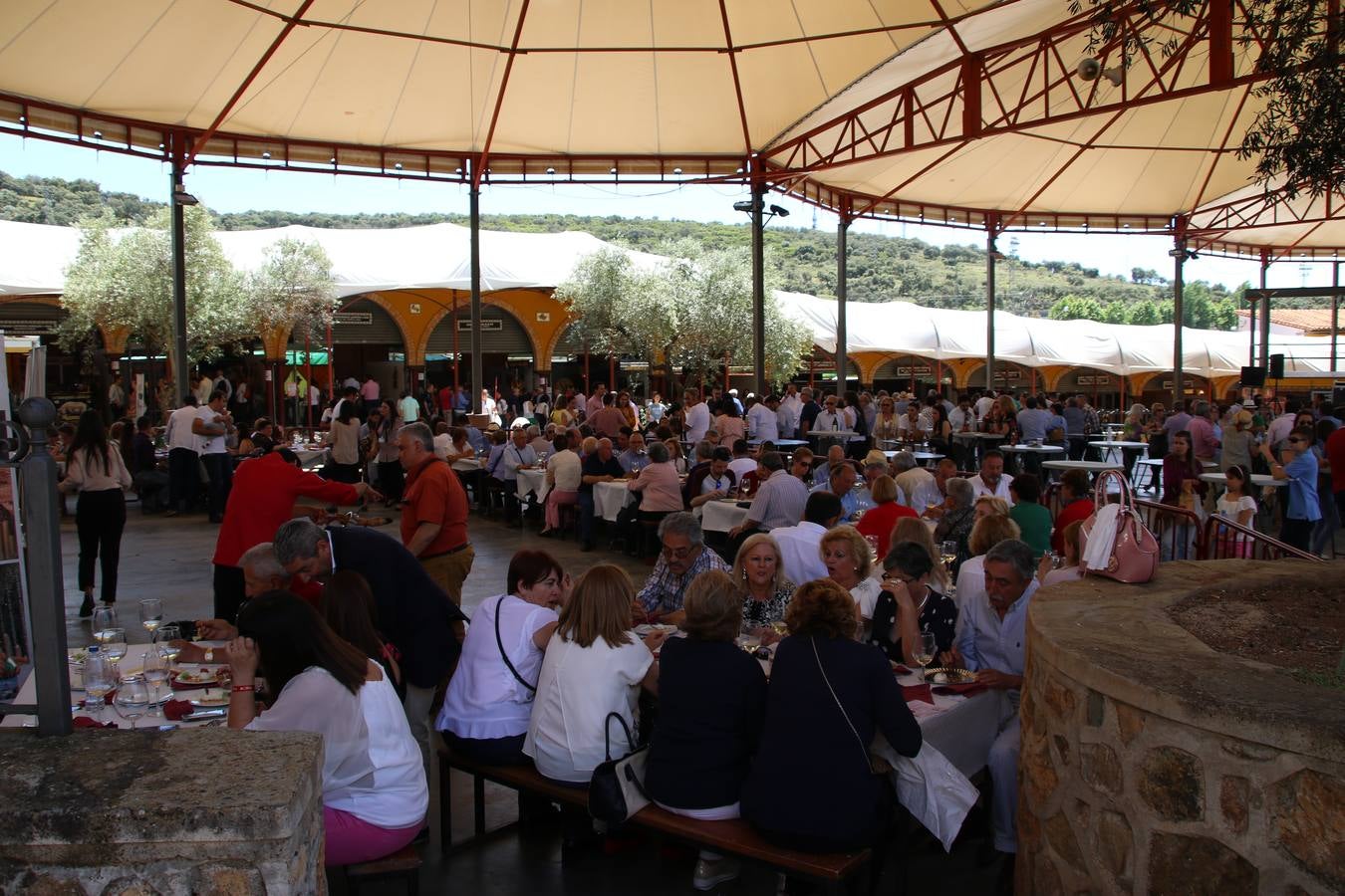 La plaza del recinto ferial de Jerez, escenario del XXX Salón del Jamón Ibérico, se ha llenado, esta mañana, de la excelencia de algunos de los productos más representativos de la gastronomía extremeña, entre ellos el manjar de la dehesa, con la celebración de las I Jornadas enogastronómicas, al frente de cuyo desarrollo ha estado el chef jerezano, Tomás Carbonero.