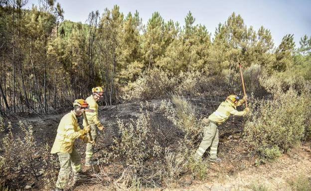 Bomberos forestales trabajando en el verano de 2018 en La Codosera.